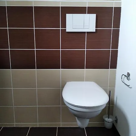 Apartment Borska Karlovy Vary