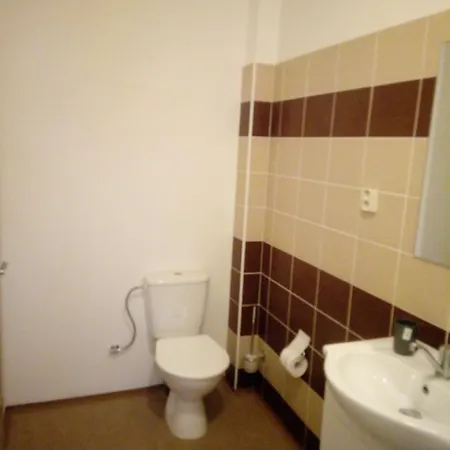 Borska 아파트 카를로비바리