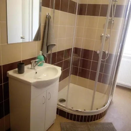 Borska 아파트 카를로비바리