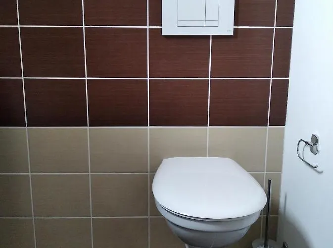 Lägenhet Borska Karlovy Vary